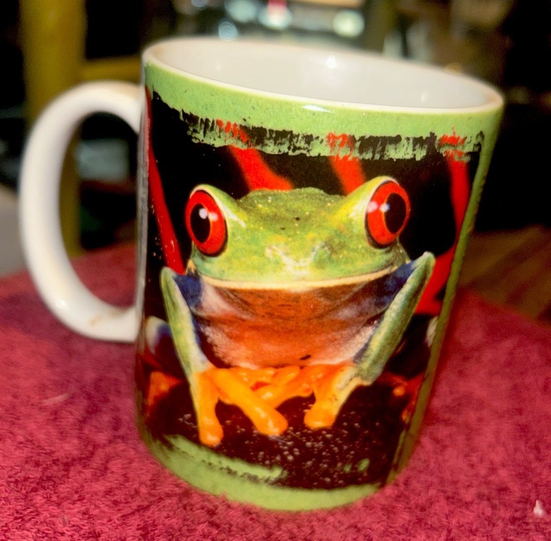 National Wildlife Federation Rain Forest Tree Frog Coffee Mug /White