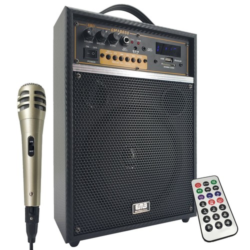 Rechargeable Guitar Speaker Amp Combo 