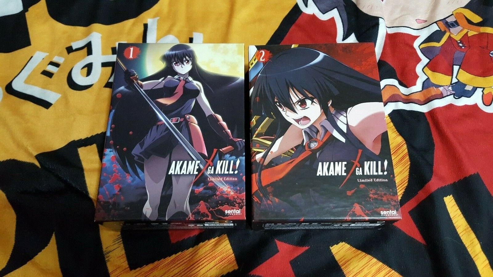 When Will be Akame Ga Kill Season 2 Release? Confirmed Date