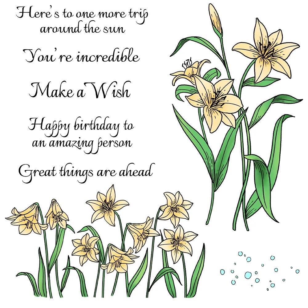 Daffodil Birthday Wishes Metal Cutting Dies and Clear Stamp Set  