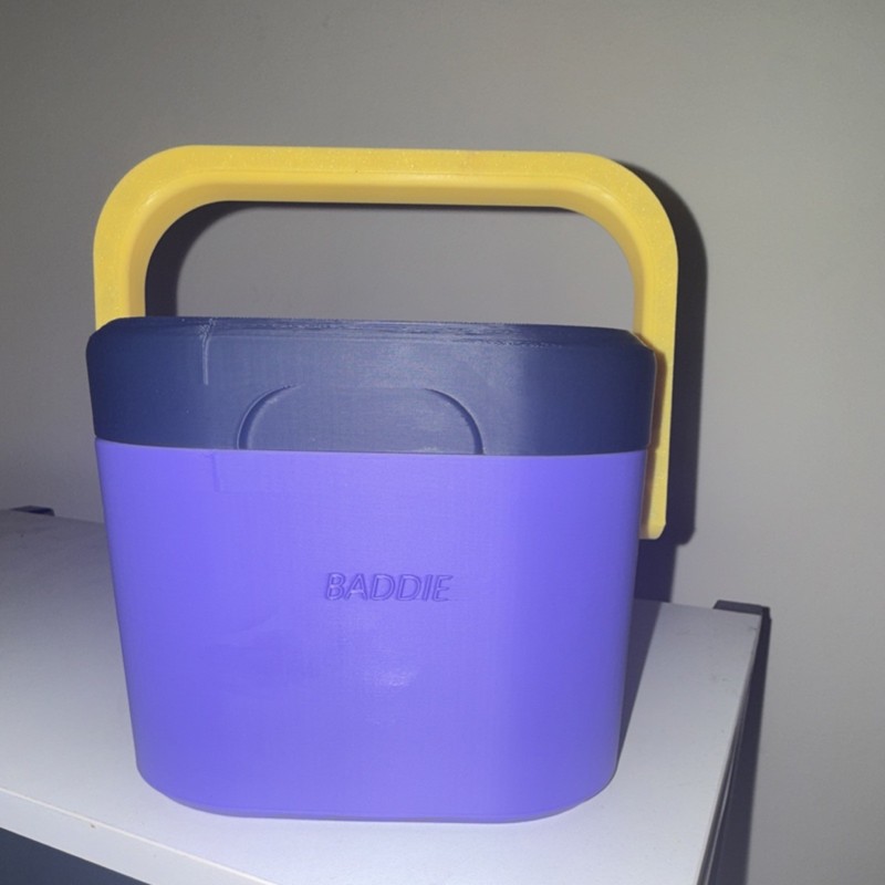 BADDIE Rectangular Plastic Food Storage Container 3 Compartments Purple Yellow