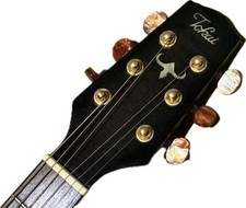 Tokai TEA-05S E-Akustikgitarre mit Gotoh Tunern, getestet, wie abgebildet