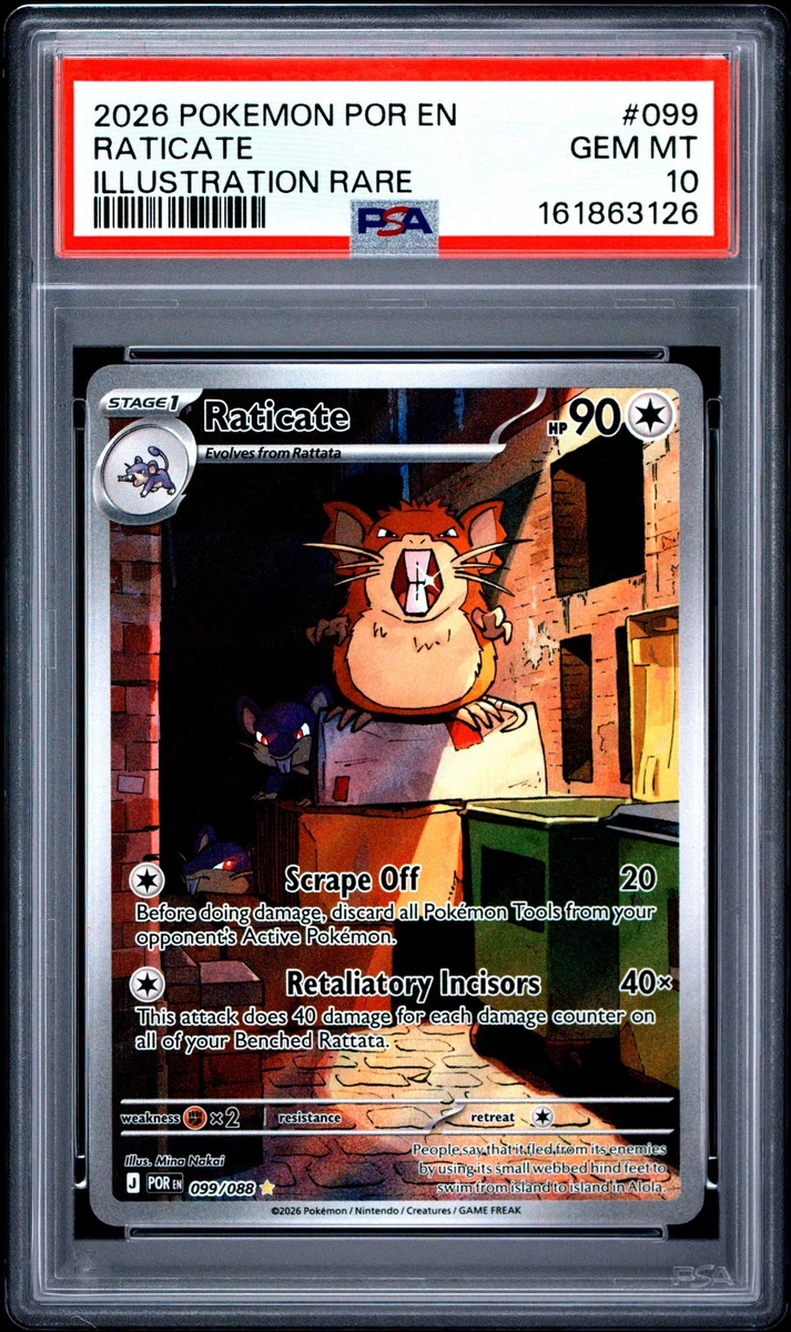 Raticate Pokémon TCG Cards for sale | eBay