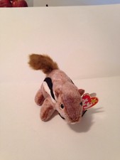 CHIPPER Ty Beanie Babies  2 errors Rare