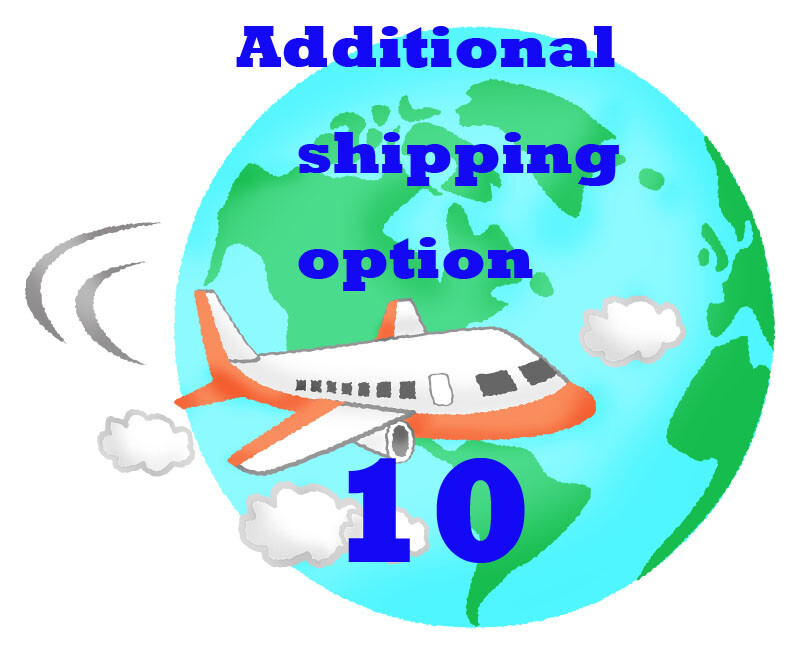 Additional Shipping Fee $10 from Japan | eBay