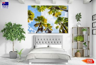 Palm Trees & Sky View From Below Wall Canvas Home Decor Australian Made ...