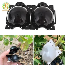 Plant Propagation Balls Plant Box Grafting Rooting Growing Device 10 Pack
