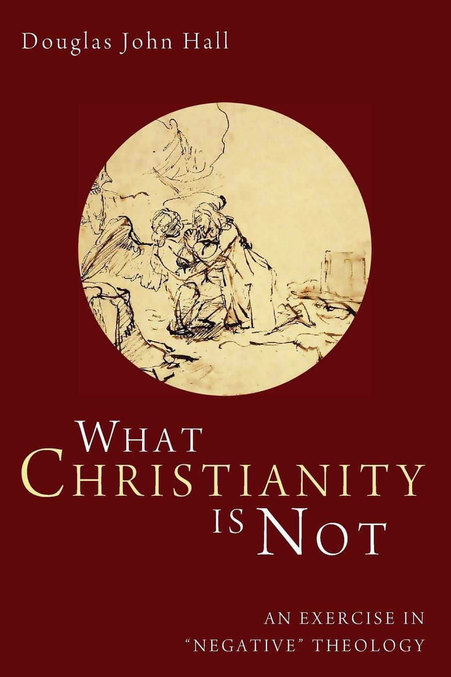 Thumbnail - What Christianity Is Not | Douglas John Hall | Taschenbuch | Paperback