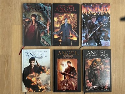 Angel Jäger der Finsternis After The Fall 1-6 Hardcover, DVD 1-5, Illyria Comic