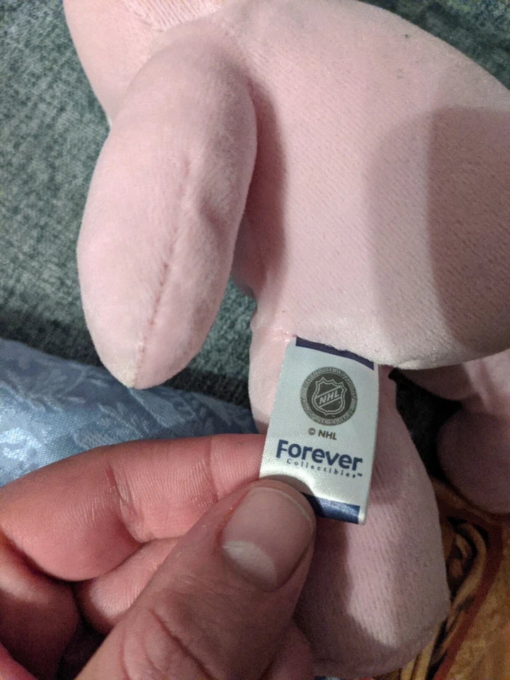 Rare Philadelphia FLYERS Pink BEAR 8" plush by Forever Collectibles Foto 4 de 4