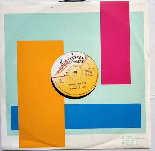 Birdy Culture – Naw Go Brock Up 12" vinyl record, 1988 reggae in company sleeve - Picture 2 of 10