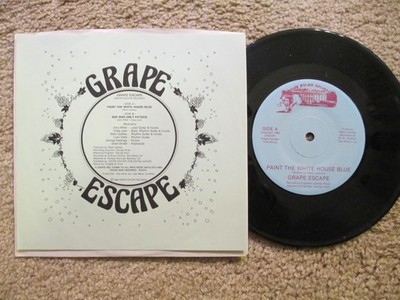 Grape Escape - Paint the White House Blue - Rare 1988 Blues Rock