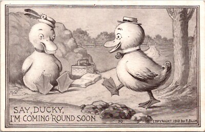 1910 F. Blum SAY DUCKY, I'M COMING 'ROUND SOON Postcard 