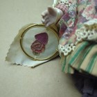 Picture 6 of 19