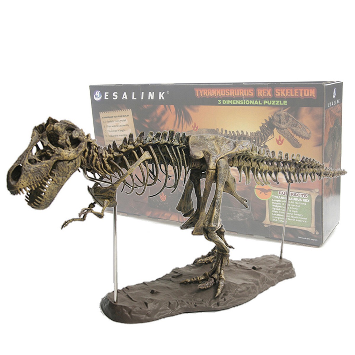 MILISTEN Dinosaurier-Skelett-Modell Set – 12-teilig, Kunststoff, Zum Zusammenbauen, Für Kinder & Sammler
