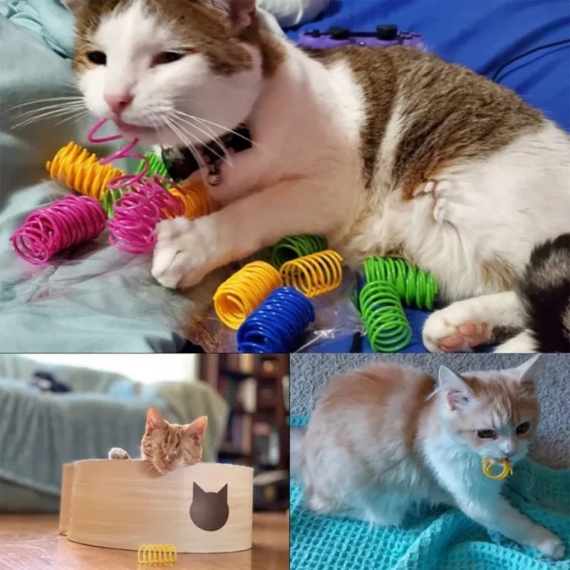 20 Pack Cat Spring Toys for Indoor Cats, Colorful & Durable Plastic ...