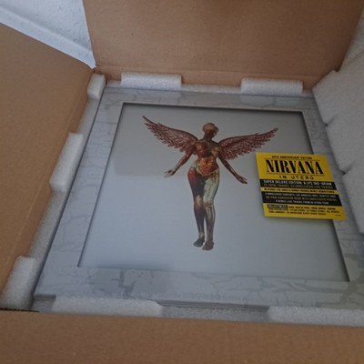 Nirvana: In Utero (30th Anniversary) (remastered) (180g) (Super Deluxe Edit.)8LP