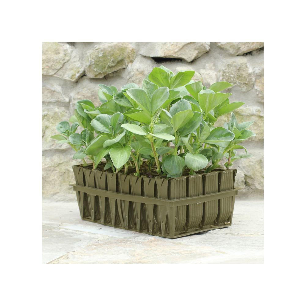 Deep Rootrainers Propagation System, Root Trainers, Propagator, Seed Tray