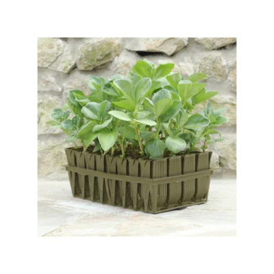 HAXNICKS Deep Rootrainers Propagation System, Root Trainers, Propagator, Seed Tray