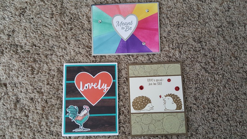 3 Handmade Stampin Up Greeting Cards, Roost, Hedgehugs, Meant to Be