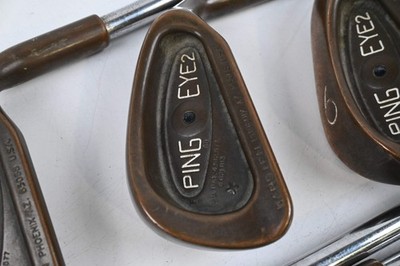 Ping Eye 2+ BeCu Eisen / 4-9i / Black Dot / Stiff Flex Ping Karsten Schäfte