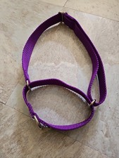 Adjustable Martingale Dog Collar Tightens Whe...
