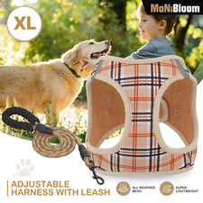Dog Harness  Leash Set Breathable Air Mesh Chest Strap Reflective Walking Vest