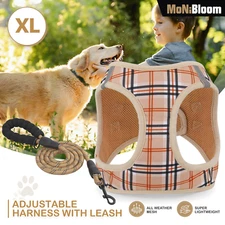 Dog Harness & Leash Set Breathable Air Mesh Chest Strap Reflective Walking Vest