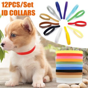 collars for litter of puppies