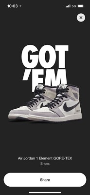 Air Jordan 1 High Element Gore-Tex Light Bone Size 11.5