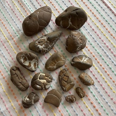 Michigan Septarian Brownstone Lightning Stone Rocks Lot 15/weigh 6 Lbs Stunning!