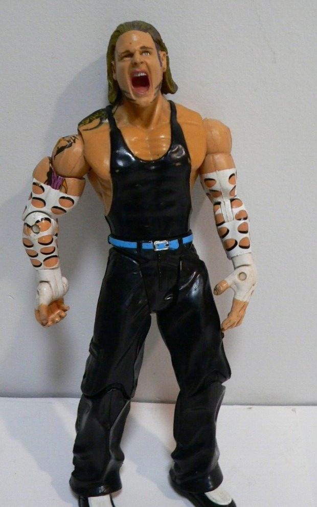 WWE Jeff Hardy Ruthless Aggression Jakks figure Hardy Boyz WWF TNA