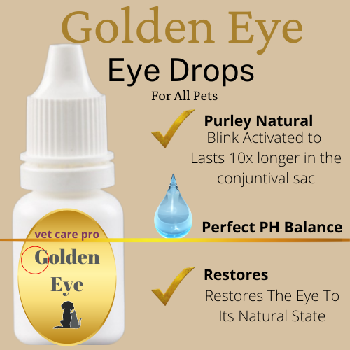 cat button up shirt womens