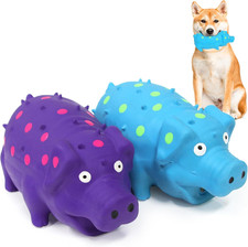 Squeaky Pig Dog Toys, Interactive Durable Latex Rubber That Oink Pig Chew Toy fo