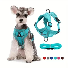 No Pull Dog Harness and Leash Set Adjustable Pet Harness Vest for Small Dogs Cat