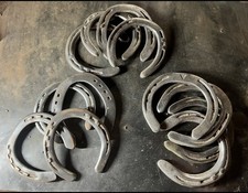 10 Used Horseshoes   Rustic Equestrian Craft Supply, Good Luck Decor