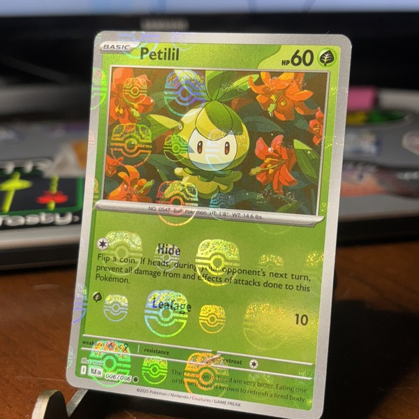 Pocket Scout - Pokemon TCG Petilil (Master Ball Pattern) 006/086 Sv: Black Bolt Holo 
