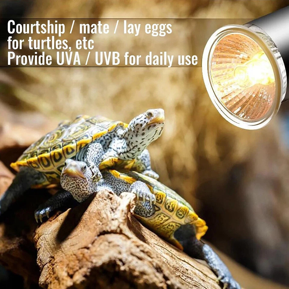 Schildkröten Wärmelampe Reptilien Terrarium Lampe UVA UVB 25+50W Heizlicht DHL - Bild 4 von 4