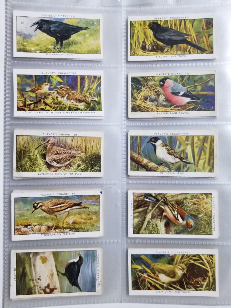 1932 WILD BIRDS complete set of 50 