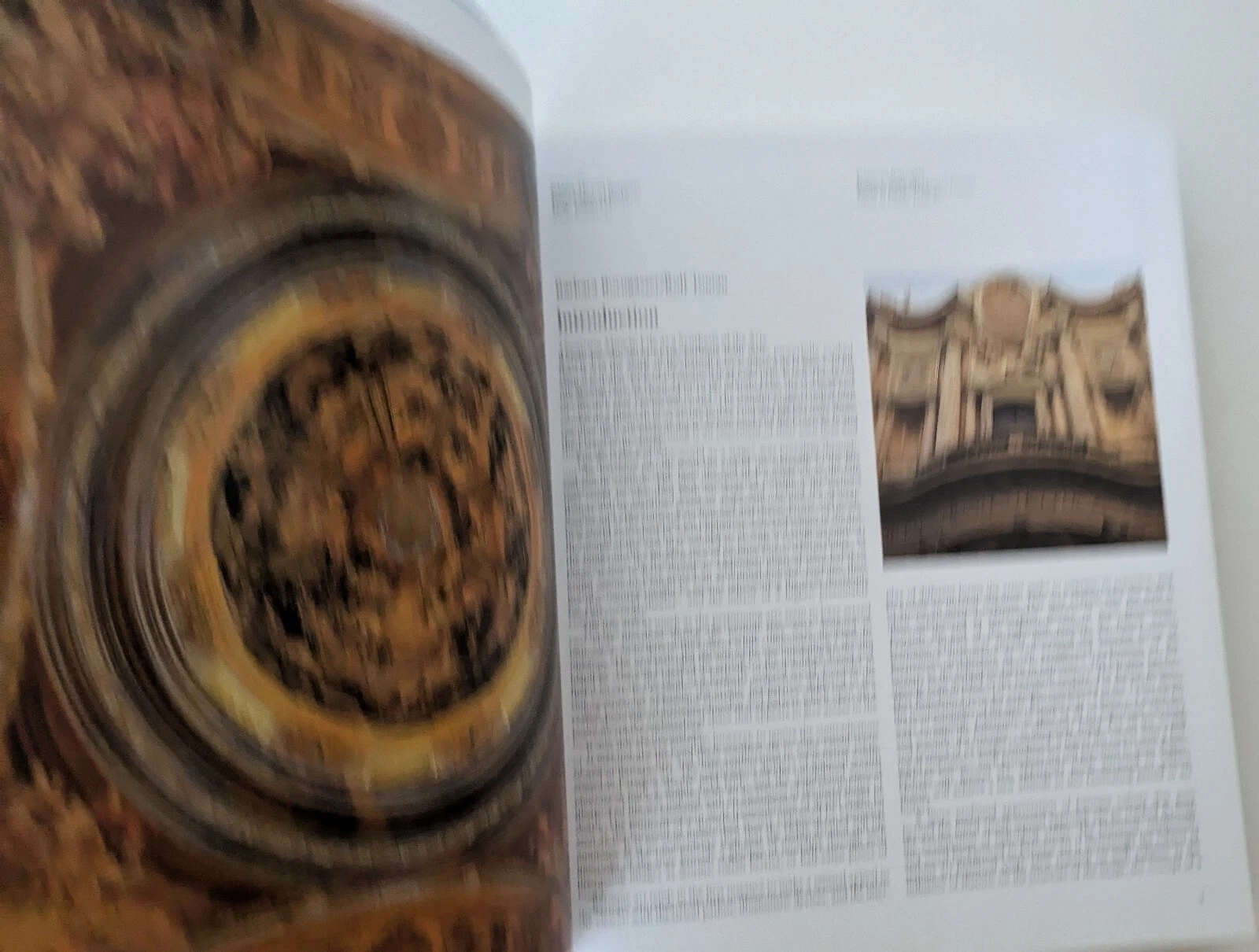 Picture 6 of 13
