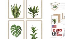Plant Wall Art - Set of 4 Green Plant Pictures 11x14 Plant Photo Beige Framed