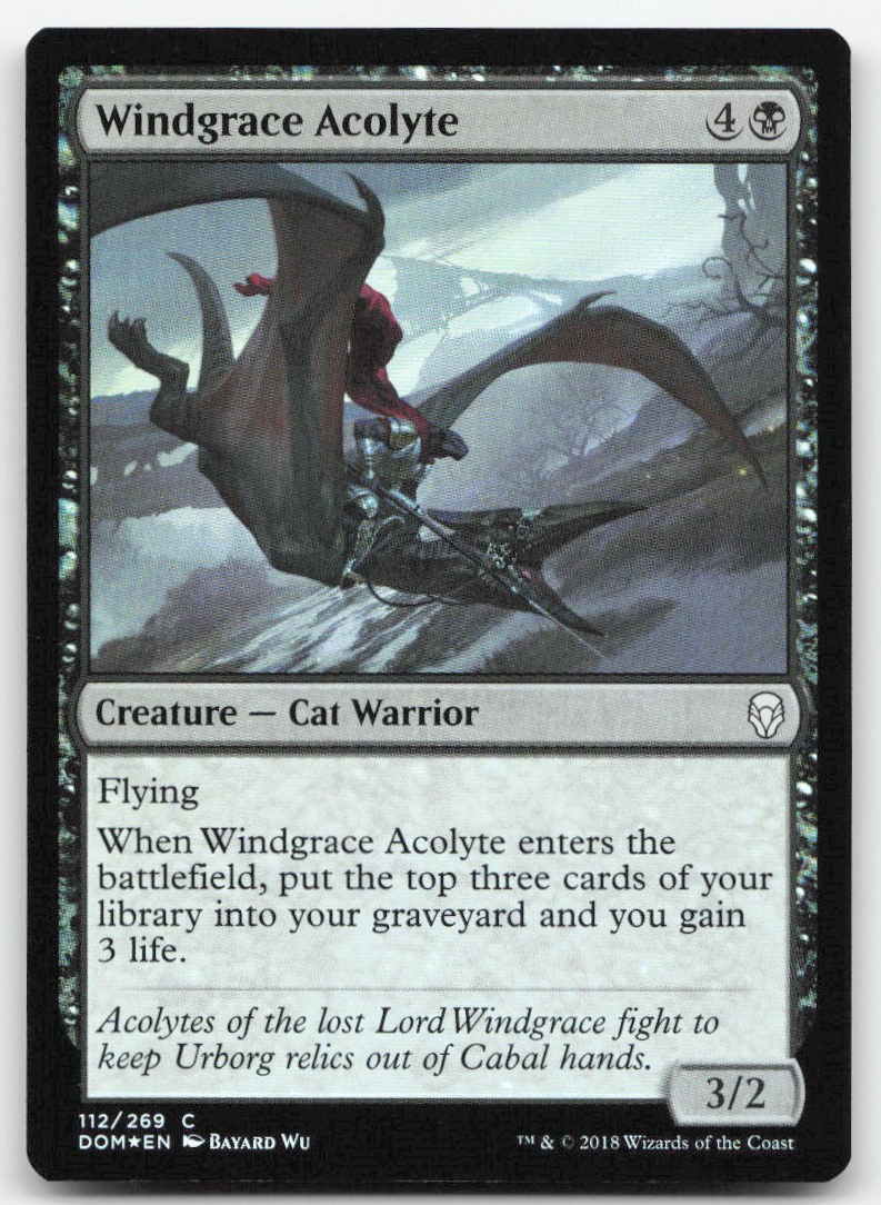 WINDGRACE ACOLYTE 112 C DOMINARIA MAGIC: THE GATHERING FOIL LIGHTLY PLAYED