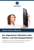 Ein Allgemeiner ÜBerblick üBer Nieren- Und Harnwegsprobleme Sannar Sattar Albuzy