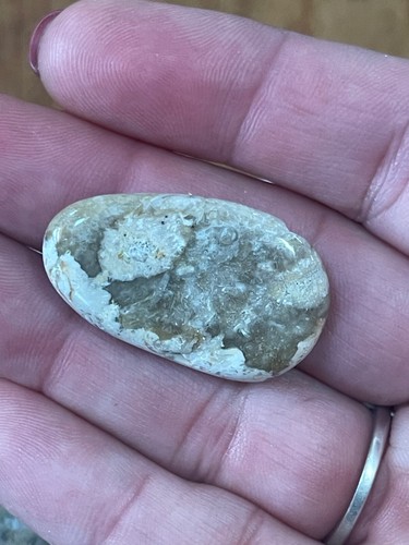 Smooth Tumbled Rock Set For Tank Decorating- Light White and Tan Chert Stones - Picture 7 of 7