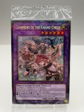 Rare EU Version Great Wheel Spirit Starlight Rare Yu Gi Oh  No.PY1308