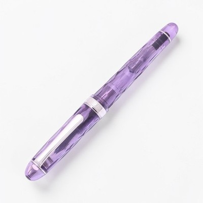 Platinum #3776 Century Fuji Shunkei Shiun M 14K Fountain Pen Japan