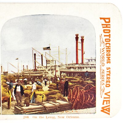 New Orleans Levee Workers Stereoview c1905 Photochrome Louisiana Steamship H1049