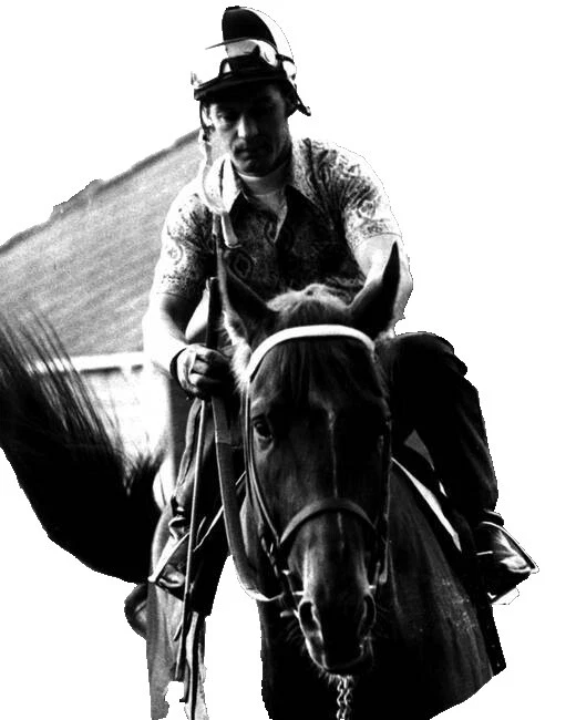 Caballos giclees Decoración para el hogar y las impresiones de Iris