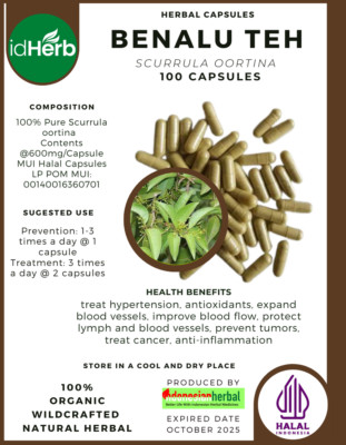[idHerb] Kräuter KAPSELN Scurrula Oortina MISTEL LORANTHUS Benalu Teh Natural