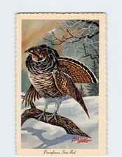 Postal Urogallo con volantes Bonasa Umbello Pennsylvania State Bird EE. UU. América del Norte